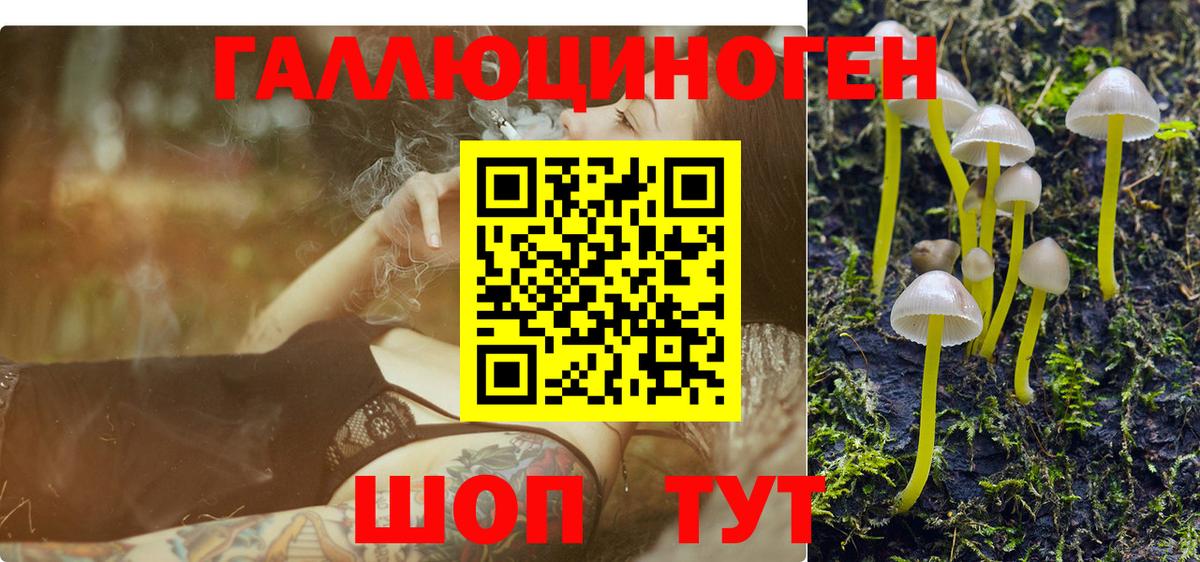 Псилоцибиновые грибы мицелий Йошкар-Ола
