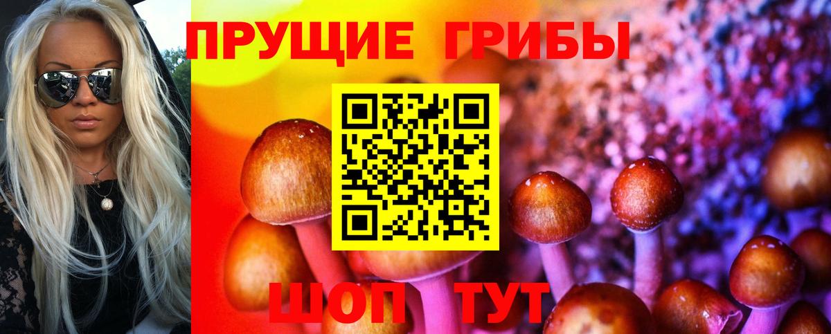 Галлюциногенные грибы ЛСД  Вход с VPN  закладка  Йошкар-Ола 